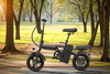 A Comprehensive Guide to 1000-Watt Hub Motor Electric Bikes