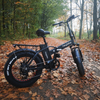 Understanding the Advantages of 500W E-bikes: A Comprehensive Insight