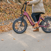 A Beginner's Guide to Purchasing Your First Electric Bike